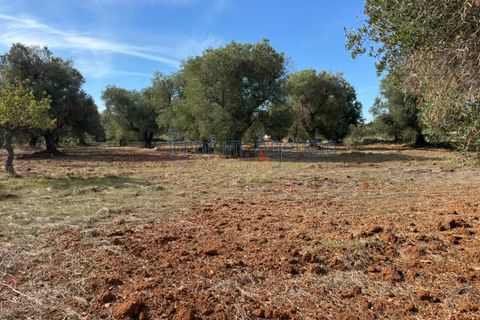 Helårsgrund i Carovigno, Brindisi, Carovigno - € 68.000 | Ref: 122778 - foto 7